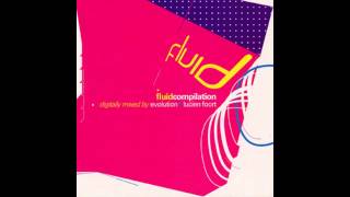 Evolution amp Lucien Foort – Fluid Compilation CD2 HD [upl. by Gavriella]