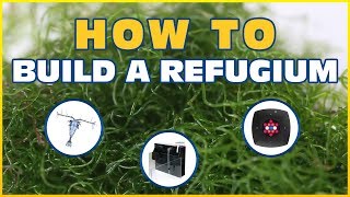 How to Set Up a Refugium Harvesting Macroalgae To Control Nitrate and Phosphate [upl. by Myrlene55]