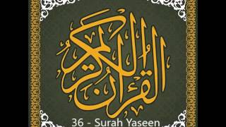 36  Surah Yaseen  Qari Asad Attari AlMadani [upl. by Emiline]