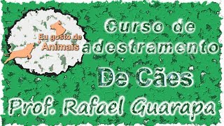 Curso de Adestramento de Cães  01  Demonstrações [upl. by Bertelli]