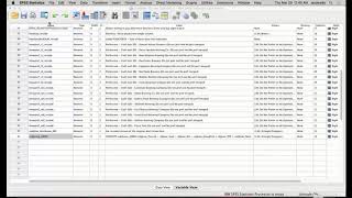 SPSS Inferential Analyses [upl. by Mariquilla]