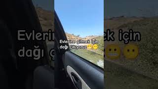 bs oynayak mı kuzi dhdhdj [upl. by Areis]