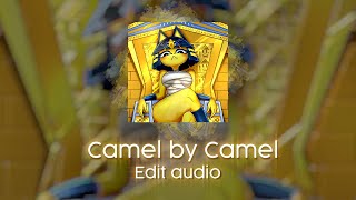 Camel By Camel  Edit audio ankha zone [upl. by Anigal]