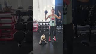 Steve Nash pug wants his shoulders popping [upl. by Atinus]