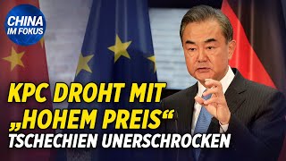 Schlimmste Heuschreckenplage für Südchina  Größter Chiphersteller Chinas fast Bankrott [upl. by Hamnet]