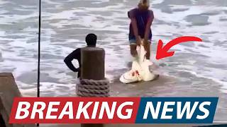 This Man Had No Idea He Was Being Filmed—What He Did to the Shark Is Horrifying [upl. by Eseuqram]