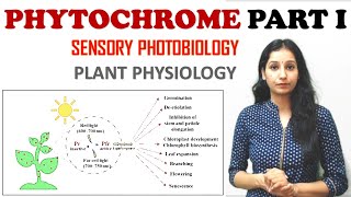 PHYTOCHROME PART I Sensory Photobiology I Plant Physiology I Photostationary Equilibrium I PHY GENE [upl. by Mendel287]