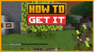 🟨 HOW to FIND the ELDER TREE in the BEWITCHMENT MOD in MINECRAFT [upl. by Schlicher63]