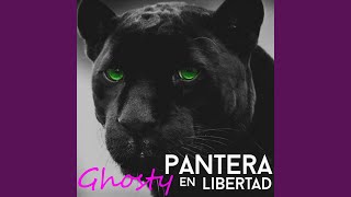 Pantera en Libertad [upl. by Drake]