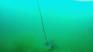 ROV 360 Camera at Paulina Lake Oregon Part 1 [upl. by Meir]