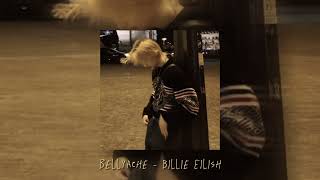 Bellyache  Billie Eilish cover by Emi [upl. by Nannaihr208]