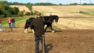 Heavy Horses  Working horseJethro Tull tribute video [upl. by Coumas164]