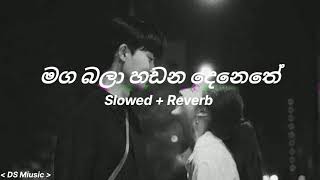 මග බලා හඩන දෙනෙතේ  Maga Bala Hadana Denethe  Slowed  Reverb [upl. by Ajad646]