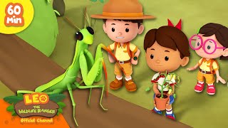 IS THAT AN ALIEN FROM MARS 👽  Interesting Insects  Leo the Wildlife Ranger  Kids Cartoon [upl. by Esina764]