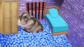 🐹 Hamster escaped from prison and made it home 🐹 in Hamster Stories [upl. by Brita]