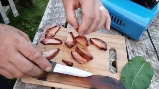 BEEFSTEAK MUSHROOM SUPPER [upl. by Allicerp962]