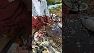 Tilapia Fish Cutting short [upl. by Chamberlain655]