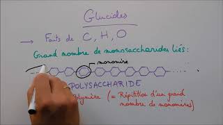 Molécules du vivant 2  Les glucides [upl. by Cadal758]