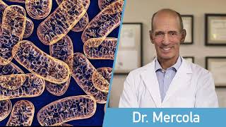 How to Improve Mitochondria Function  Dr Mercola [upl. by Nytsirt]