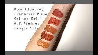 Etude House Fixing Tint  Rose Blending Salmon Brick [upl. by Naresh]