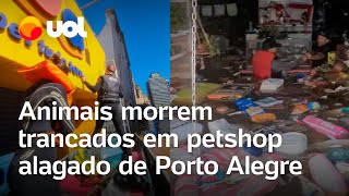 Rio Grande do Sul Animais morrem trancados em pet shop alagado de Porto Alegre veja vídeo [upl. by Horick459]