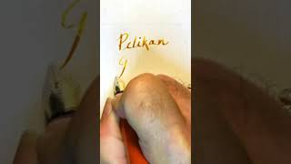 2021 Pelikan Edelstein Golden Beryl Fountain Pen Ink shorts [upl. by Amathist]