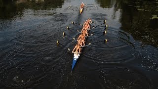 Rowing Its Good For Your Brain [upl. by Delogu]