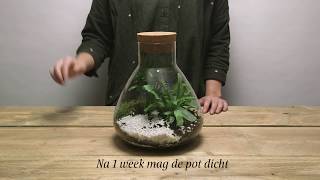 Intratuin  planten terrarium maken  DIY [upl. by White]