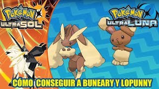 Cómo conseguir a BUNEARY y LOPUNNY  Guía Pokémon Ultrasol y Ultraluna [upl. by Dal]