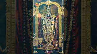 Venkateswara Swamy Popular Songs  Anandam Anandam Anandamayamu Song  ytshorts  Devotional TV [upl. by Eenet482]