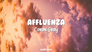 Conan Gray  Affluenza Lyrics [upl. by Eiresed]