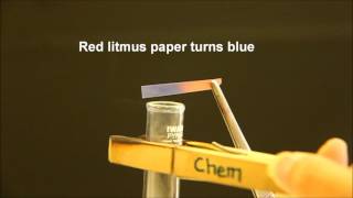 Test for Cation Test for Ammonium Ion with Aqueous Sodium Hydroxide [upl. by Tamara307]