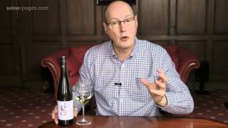 Morrisons Gruner Veltliner Austria wine review [upl. by Mountford]