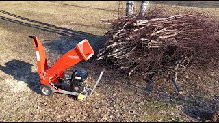 Urban Wood Chipper Hecht 6208  more birch 2 [upl. by Donelle]