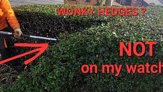 How to straighten up Hedges [upl. by Deborah]