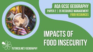 Impacts of Food Insecurity  AQA GCSE Geography  Food 3 [upl. by Ahsataj]