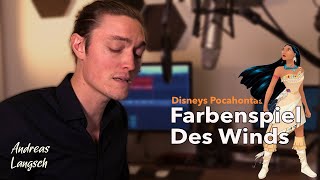 Disneys Pocahontas Farbenspiel des Winds  Cover Andreas Langsch [upl. by Nodnahs696]