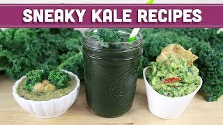 3 Vegan Kale Recipes Soup Smoothie Guacamole Mind Over Munch [upl. by Nhguavad]