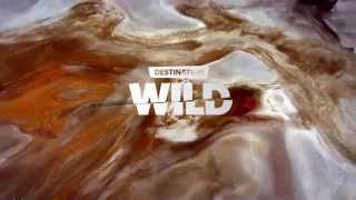 Destination Wild  Australie  Bandeannonce [upl. by Ttereve]