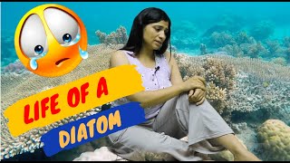 Ritu Rattewal  Life Of a Diatom unacademy riturattewal study [upl. by Nnov]