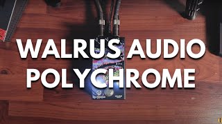 Walrus Audio  Polychrome Flanger [upl. by Artemus]