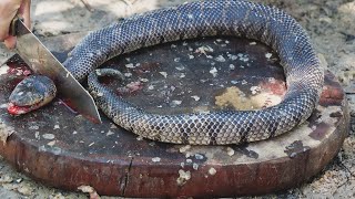 Giant Snake Soup  Delicious Big Python Boil For Food  Wilderness Food [upl. by Janos]