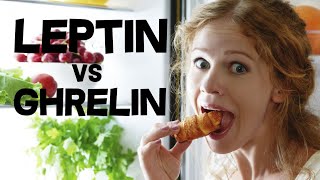 Leptin and Ghrelin  Hunger Hormones [upl. by Aissert608]