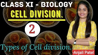 Class XI Biology  Cell Division  Types of Cell Division [upl. by Clifton]