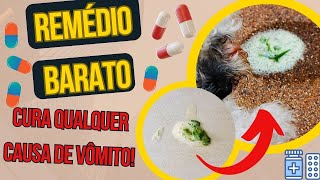 CACHORRO VOMITANDO RESOLVA PROBLEMAS GÁSTRICOS DOS CÃES COM VOMITO GASTRITE EM CASA REMÉDIO CASEIRO [upl. by Lenahc698]