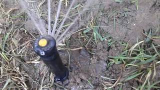 Rain Bird 12SA Sprinkler Head StartupShutdown [upl. by Seow]