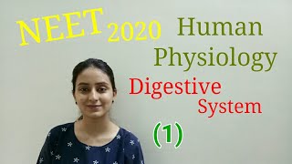 NEET BIOLOGY 2020  Digestive System  Human Physiology  Important Notes [upl. by Meredeth]