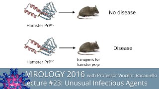 Virology Lectures 2016 23 Unusual infectious agents [upl. by Pincus]