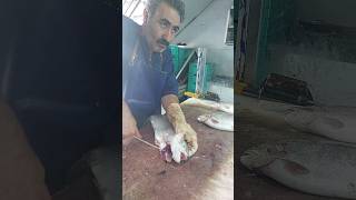 Professional seller in cleaning salmon [upl. by Eilagam]