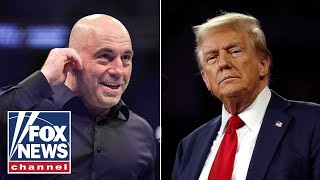 Joe Rogan advises Trump after 2024 victory Let them all talk their s [upl. by Rowan273]